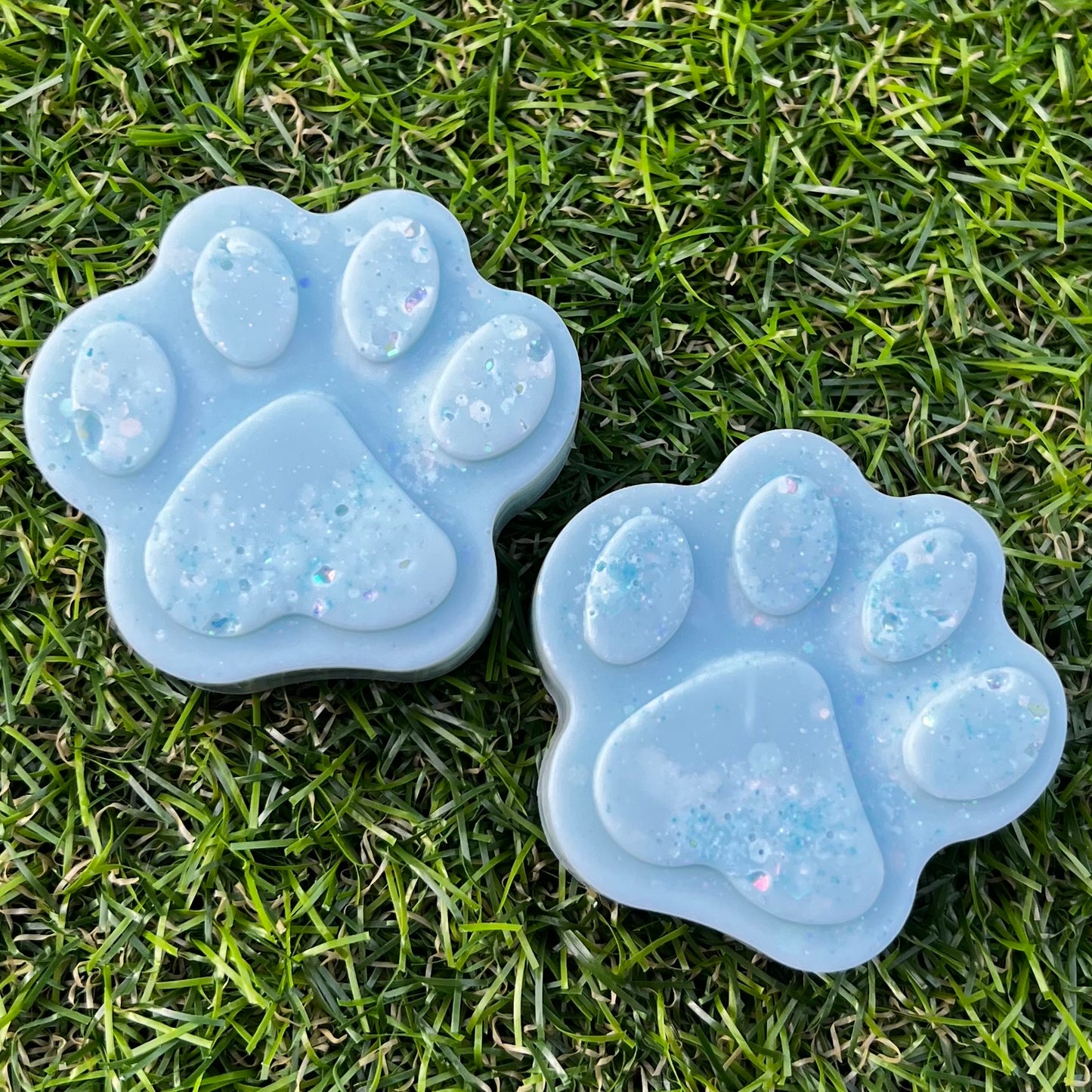 Paw Print Mould; 1 AVAILABLE